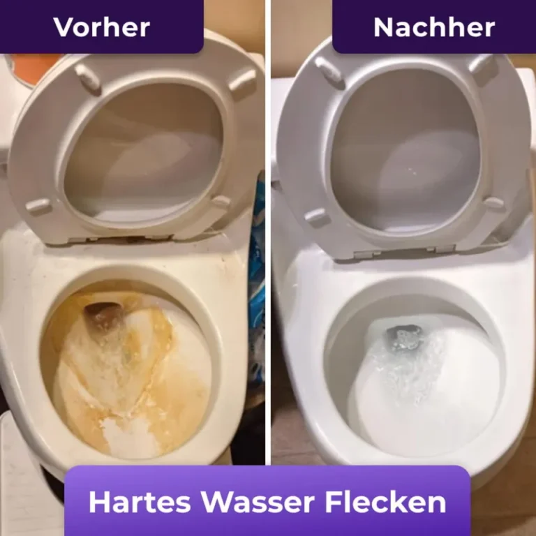 imgi_142_SGVyb184X0JlZm9yZV9BZnRlcl90b2lsZXRfZm9hbV9GaXp6Q2xlYW4tREUuanBn-h_960